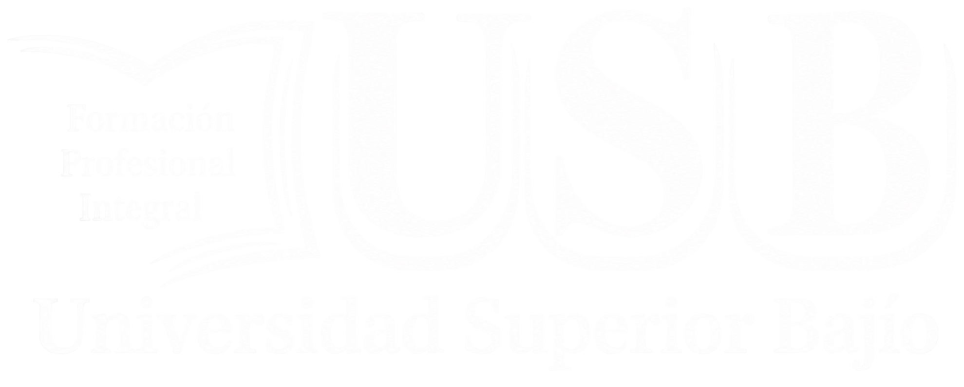 Universidad Superior Bajío